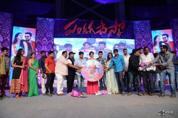 Pandaga Chesko Movie Audio Launch